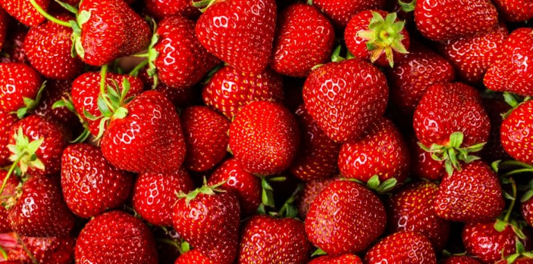 fraises_3